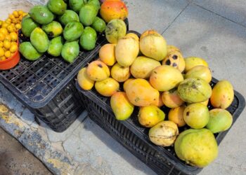 Promoção de mangas (mas não é em Rio Branco)