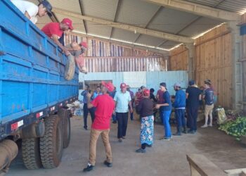 MST do Paraná distribui 75 toneladas de alimentos em ação solidária