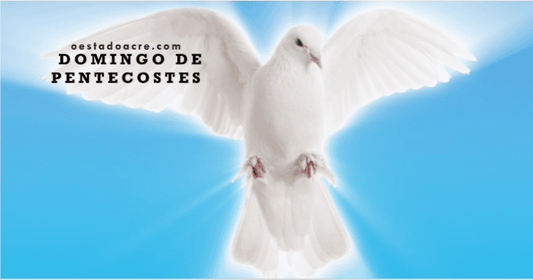 Muito bom domingo a todos…🌟✨