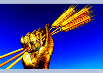 OEstadoAcre.com faz três perguntas a Lula e Marina em reunião virtual