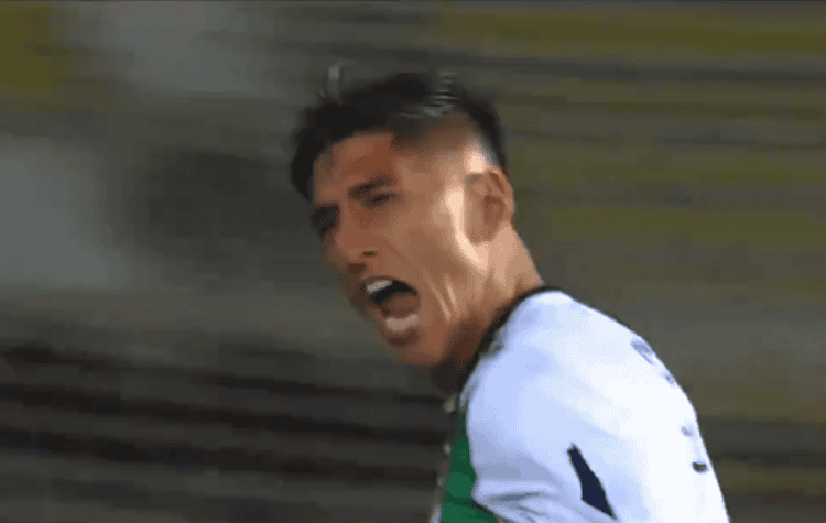 Palestino derrota o Flamengo com gol incrível de Cornejo na Libertadores 📹