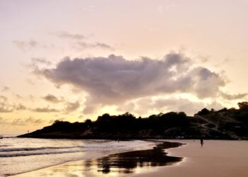 Senado discute privatização de praias com Flávio Bolsonaro (de relator)