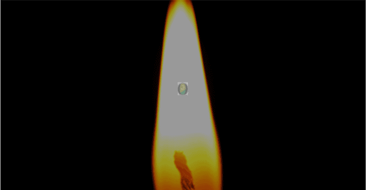 Min. Marina Silva: ‘parabéns, professor’