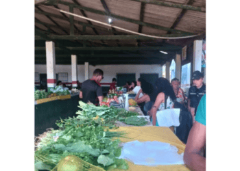 Feirantes denunciam sujeira e mau cheiro no mercado de Tarauacá