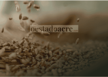 Governo anula leilão de arroz e secretário deixa cargo