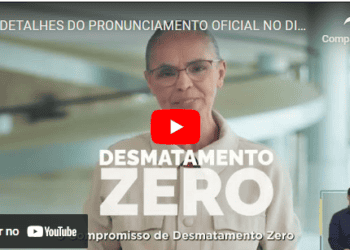 Detalhes do pronunciamento oficial no Dia Mundial do Meio Ambiente