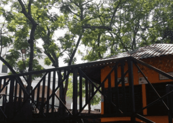 Manchete ‘perda da tradição’ na Praça dos Tocos é exagero