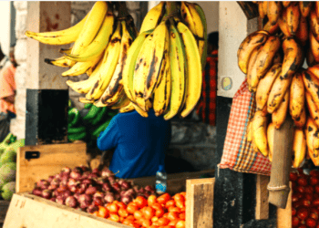 Banana 42,35% mais barata em abril na Ceasa de Rio Branco