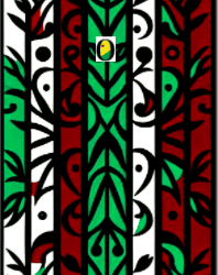 Fluminense: orgulho de ser um clube de poucos