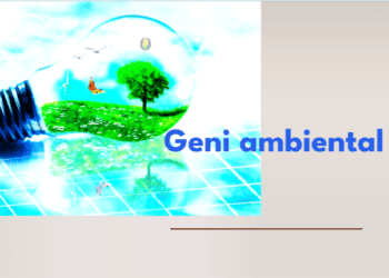 A Geni do Rio Acre: por Francisco Saraiva