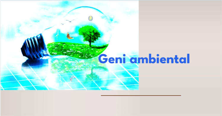 A Geni do Rio Acre: por Francisco Saraiva