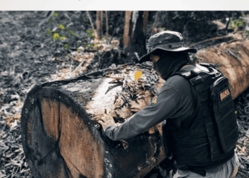 O gov. Lula e a crise ambiental (…)