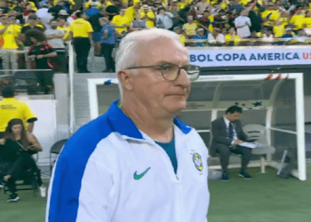 Seleção é passado! E o problema era o Fernando Diniz…