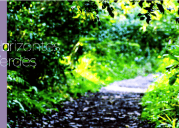 INCRA promove agenda de reforma agrária e sustentabilidade em Sena Madureira