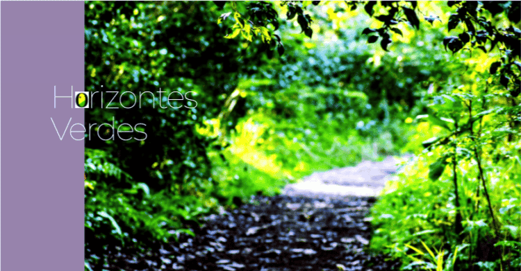 INCRA promove agenda de reforma agrária e sustentabilidade em Sena Madureira