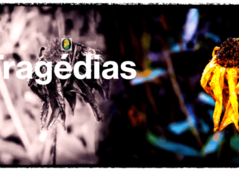 Família se joga de prédio em chamas e morre