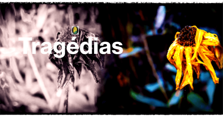 Família se joga de prédio em chamas e morre