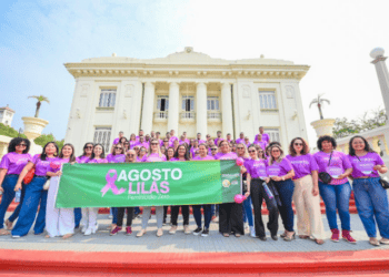 Estado: 448 mil vozes unidas no Agosto Lilás