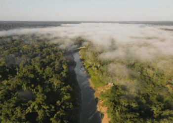 Unidades de conservação protegem a mata; Chandless completa 20 anos