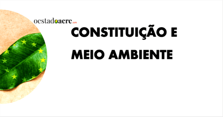 Gastos emergenciais: Constituição reafirma urgência ambiental