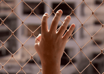 Estado reduz em mais de 37% o número de feminicídios(a face mais cruel do machismo…)