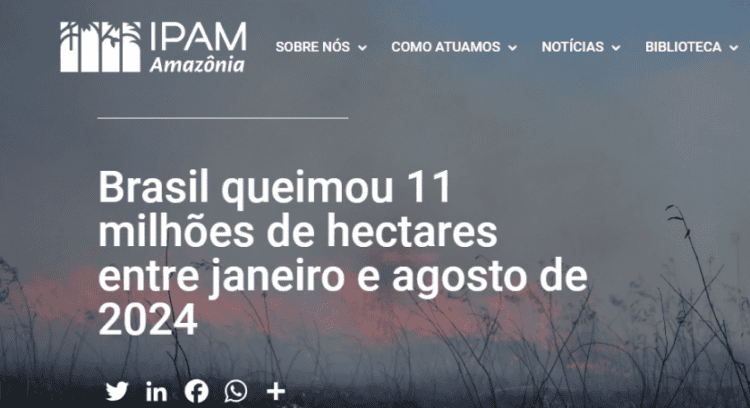 Estamos no paraíso, mas a ganância tá queimando tudo