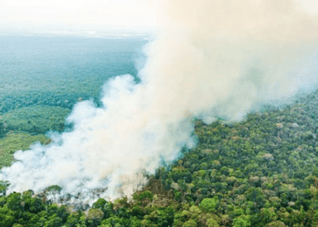 Fumaça das queimadas no Brasil chega à África