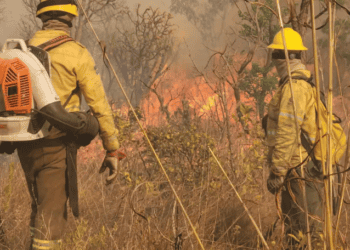 Ações evitaram pior cenário de secas, diz Marina(…mas ‘boiada’ passou de com força no desgoverno…)