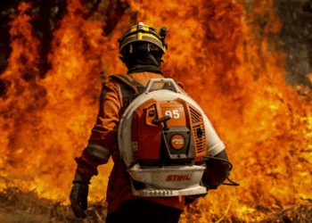 “Queimadas são resultado da ação humana”, diz diretora do Ipam
