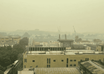 Especialista alerta sobre cuidados com a saúde no período de estiagem