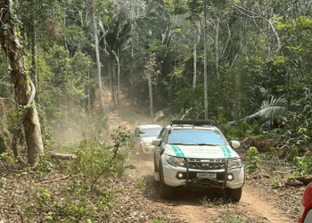GdA divulga dados das operações de preservação ambiental