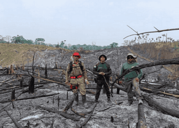 A conta chegou, Gov GladsonC!: “Não paguem as multas ambientais…quem manda sou eu’