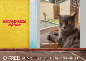 O Fred está desaparecido! (há recompensa…)