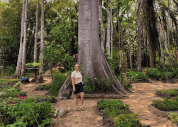 Música tocando agora…’O Sol se pôs’…📀