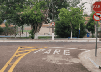 Árvores resolvem o problema ambiental e outros….(Só não ver quem não quer)