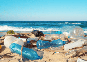 Alerta ambiental…(Coalizão critica prioridades do governo Lula)