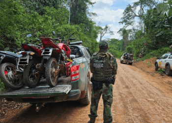 Operação Usurpare interrompe desmatamento em área protegida no Estado