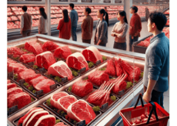 Preço da carne alto: interesse em ganhar em Dólares é a razão