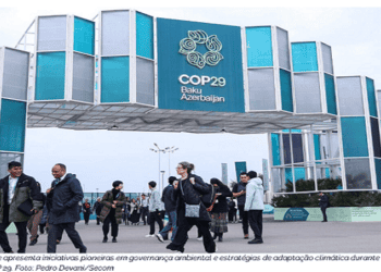 cop 29