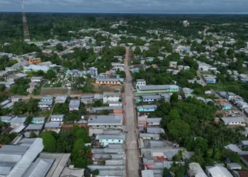 Feijão nosso de cada dia