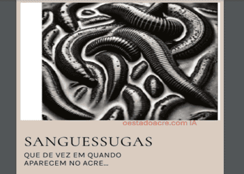 sanguessugas