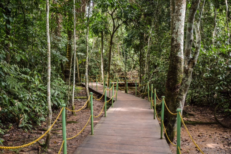 Feriado de 20 de janeiro: Parque Chico Mendes abre suas portas