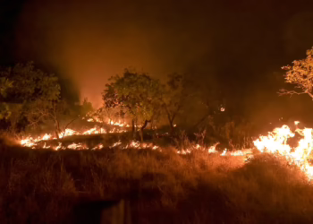 Amazônia em chamas: alta de 64% nas queimadas em florestas públicas não destinadas em 2024, aponta IPAM
