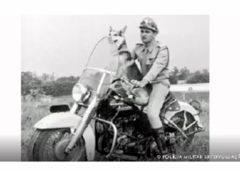 vigilante rodoviário