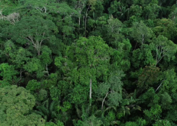 GdA realiza Conferência de Meio Ambiente no dia 11