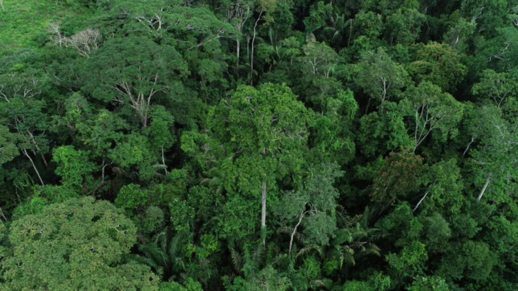 GdA realiza Conferência de Meio Ambiente no dia 11