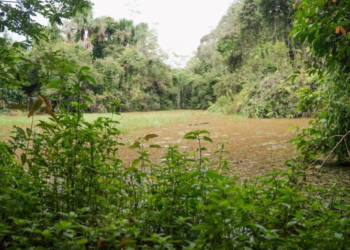 O mundo descobriu o turismo ecológico no Acre