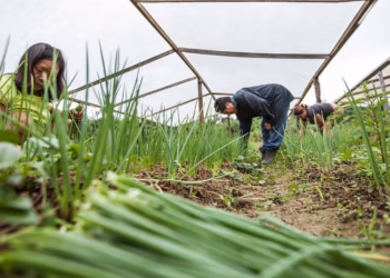 Com Lula, europeus abrem a carteira pro Acre