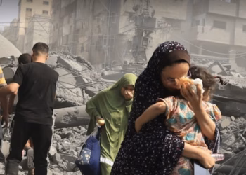 O reino da indignidade e da irracionalidade