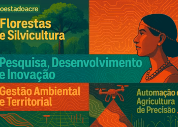 Tecnologia do Acre revoluciona mapeamento de castanheiras na Amazônia